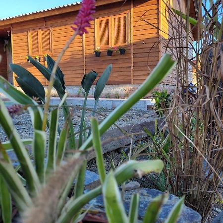Casa Teka Urubici Villa Ngoại thất bức ảnh